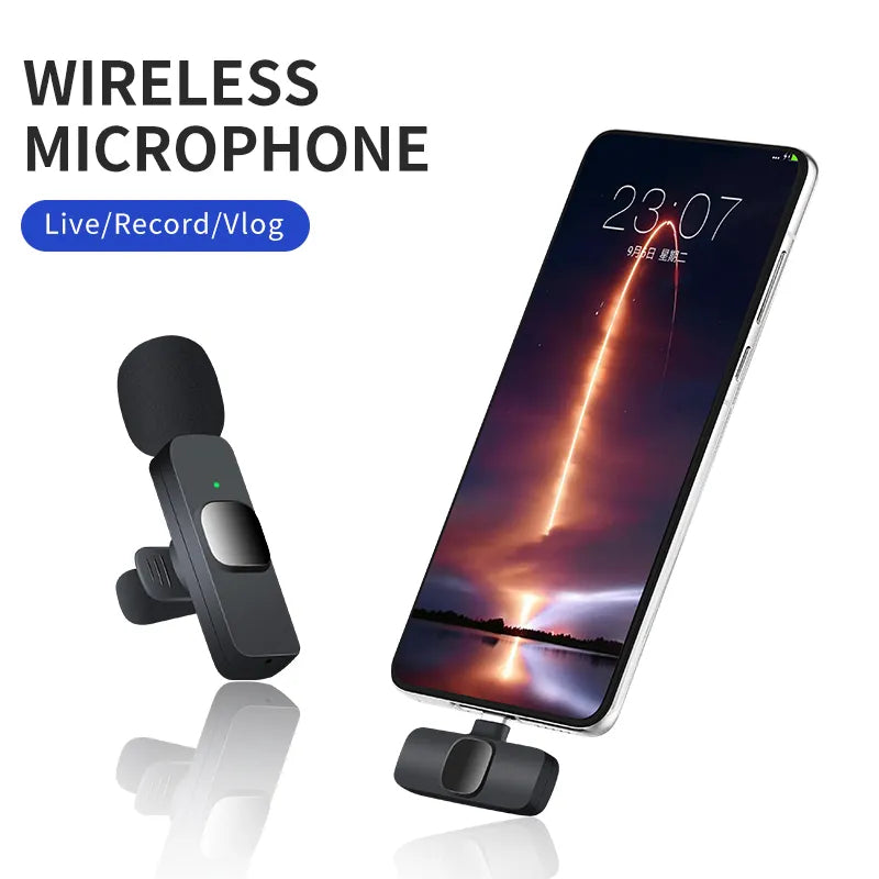 Professional Wireless Microphone